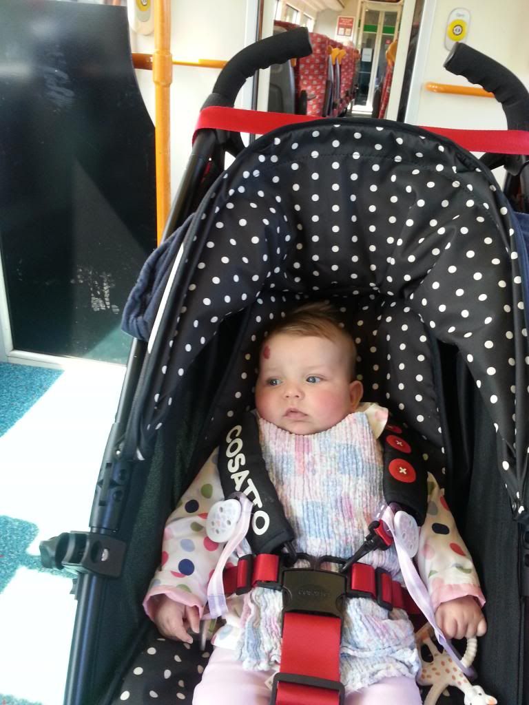 babies in pushchairs (photos) BabyCentre